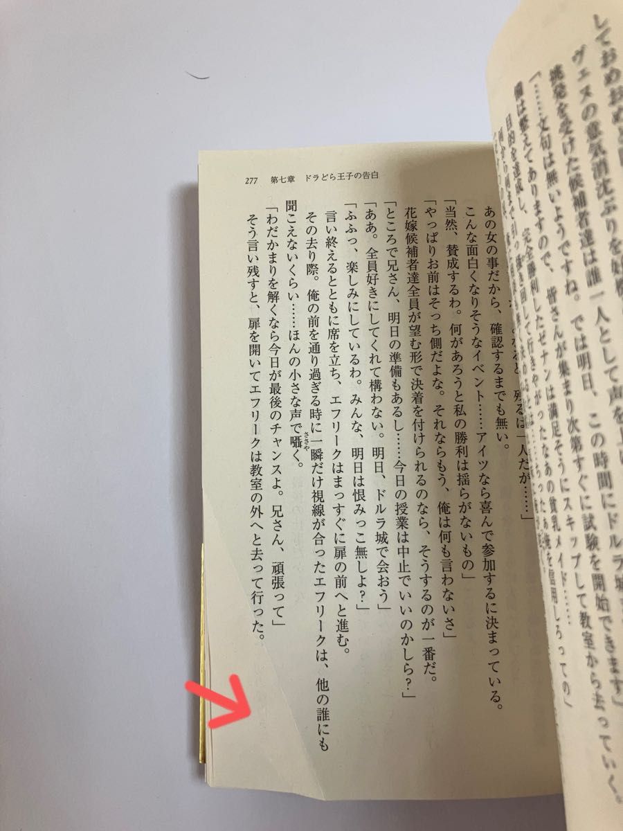 ドラどら王子の花嫁選び／ドラどら王子の新婚旅行