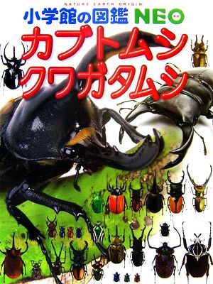 カブトムシ・クワガタムシ 小学館の図鑑ＮＥＯ１６／小池啓一【執筆・企画構成】，新開孝，鈴木知之，筒井学，横塚眞己人【撮影】_画像1