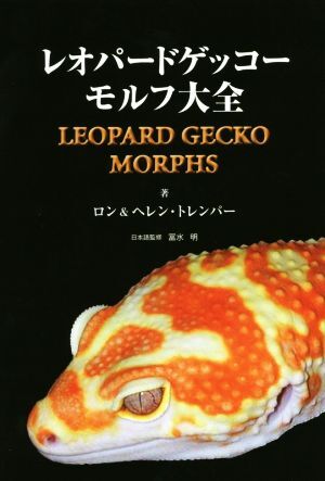  Leopard geko-moruf large all | long *to Len pa-( author ), Helen *to Len pa-( author ),. water Akira 