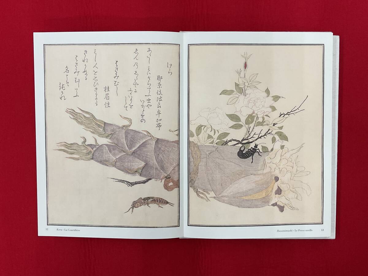 Utamaro Insectes choisis Myriades d'oiseaux喜多川歌麿画本虫 Utamaro Insectes choisis Myriades d'oiseaux喜多川歌麿画本虫