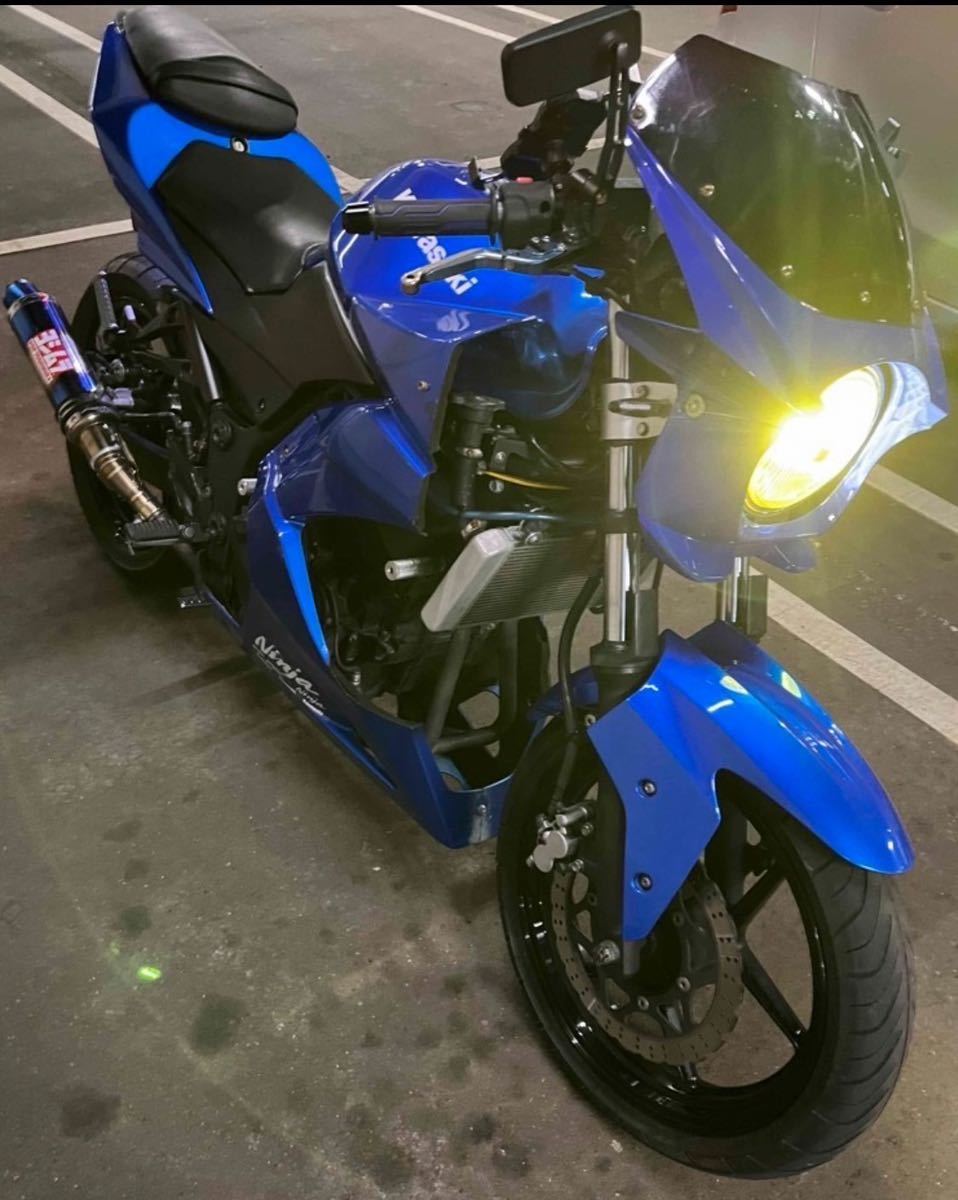 【ネイキッド仕様】Kawasaki NINJA250R 走行2万/新品前後タイヤ_画像1