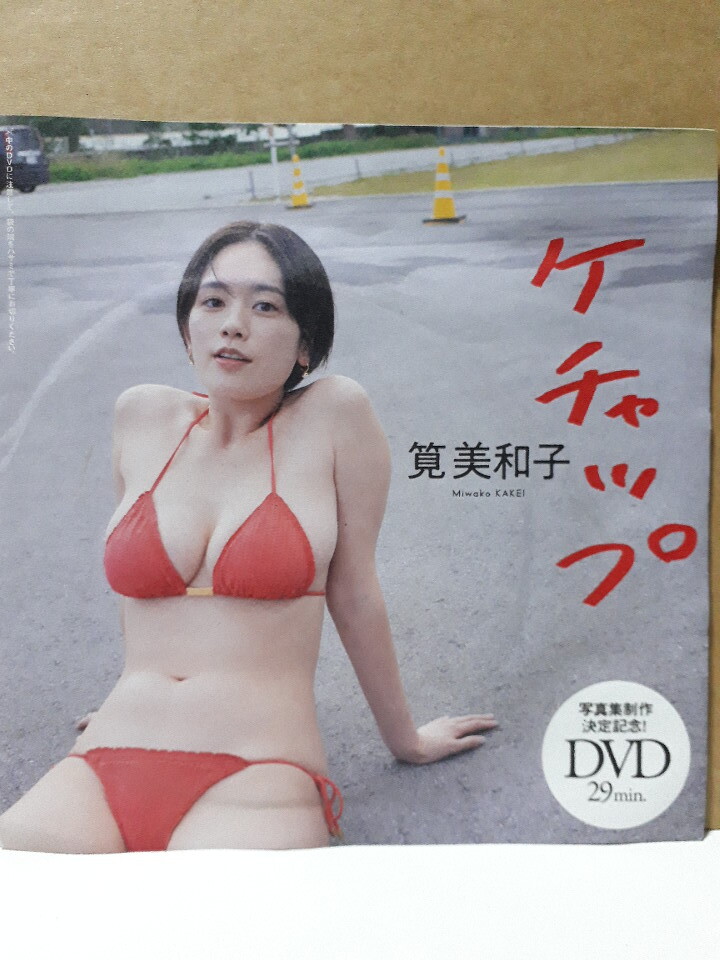 筧美和子 週刊プレイボーイ 付録DVD 新品 未開封 ケチャップの画像1