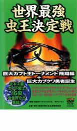 世界最強 虫王決定戦 巨大カブト王トーナメント 飛翔編+巨大カブクワ勇者誕生 レンタル落ち 中古 DVD_画像1