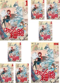 はたらく細胞 全8枚 全7巻 + 特別編 レンタル落ち 全巻セット 中古 DVD_画像1