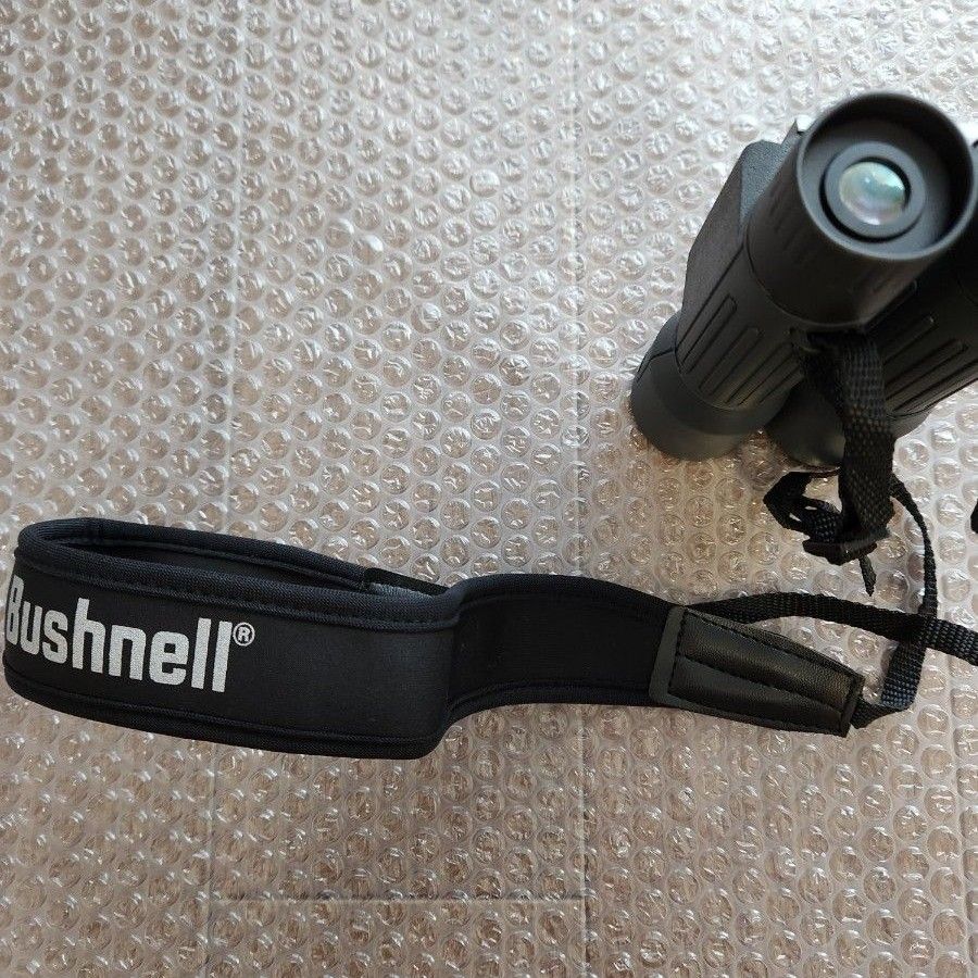 双眼鏡 Bushnell ブッシュネル トラベルビノキュラー コンパクト 16倍 旅行 自然観察 パワービュー2 CE16x32