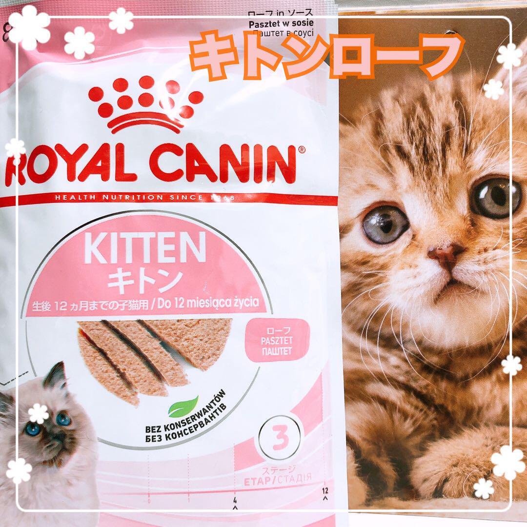 ロイヤルカナン　猫　子猫　kitten ローフ　キトン　ウェットフード　18個　キャットフード　パウチ