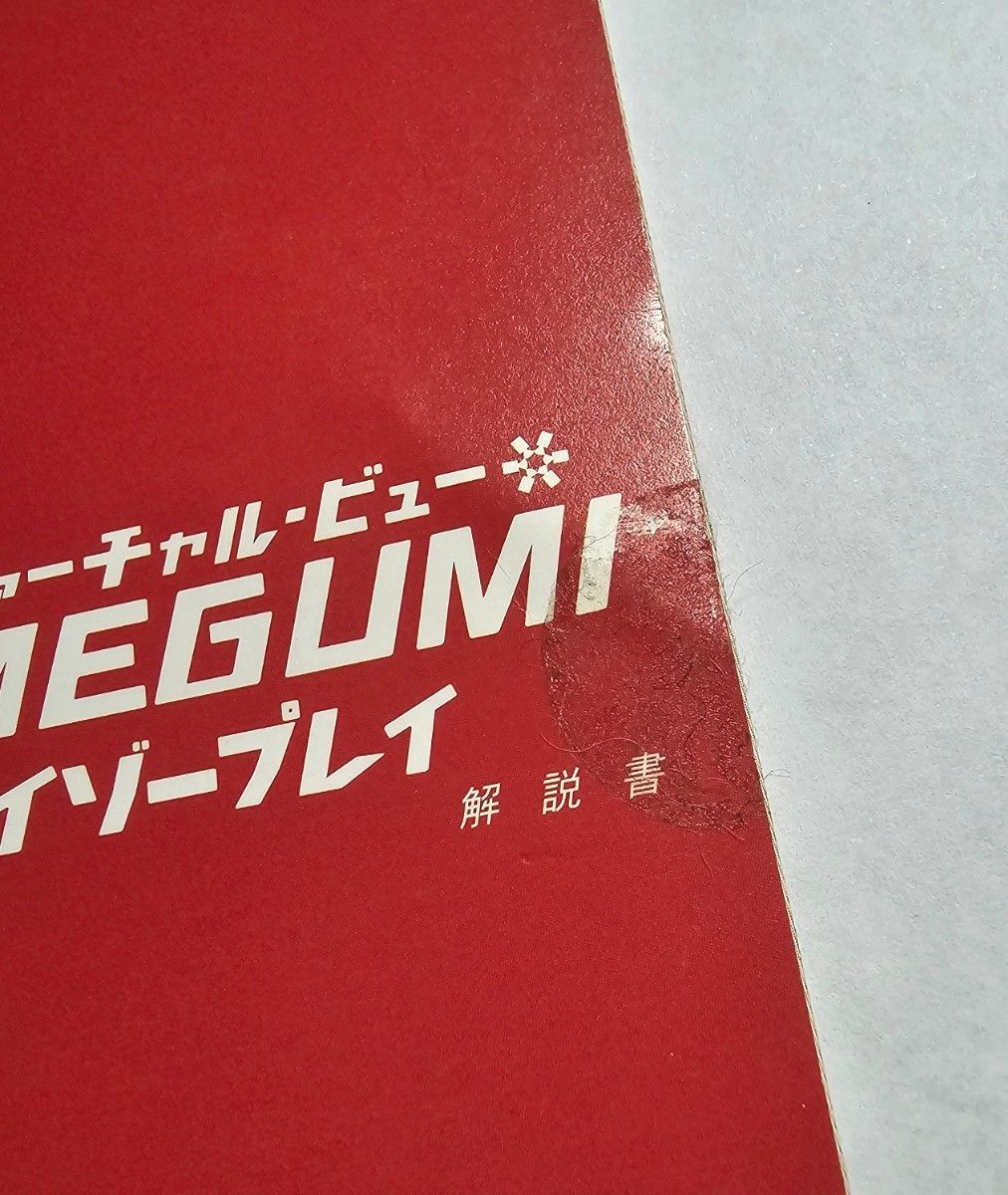 PS2 エイゾープレイ MEGUMI 根本はるみ ヴァーチャルビュー 映像作品 プレイステーション 限定品 コスチュームカード付