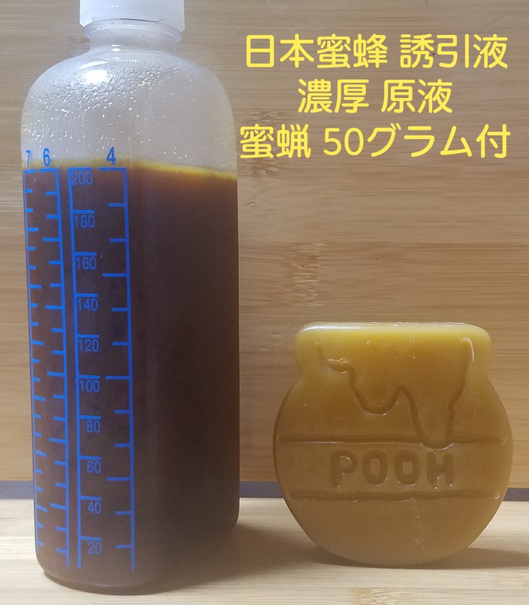 ニホンミツバチ　誘引液　濃厚原液　蜜蝋 50グラム付　日本蜜蜂　待ち箱ルアー　分蜂_画像1