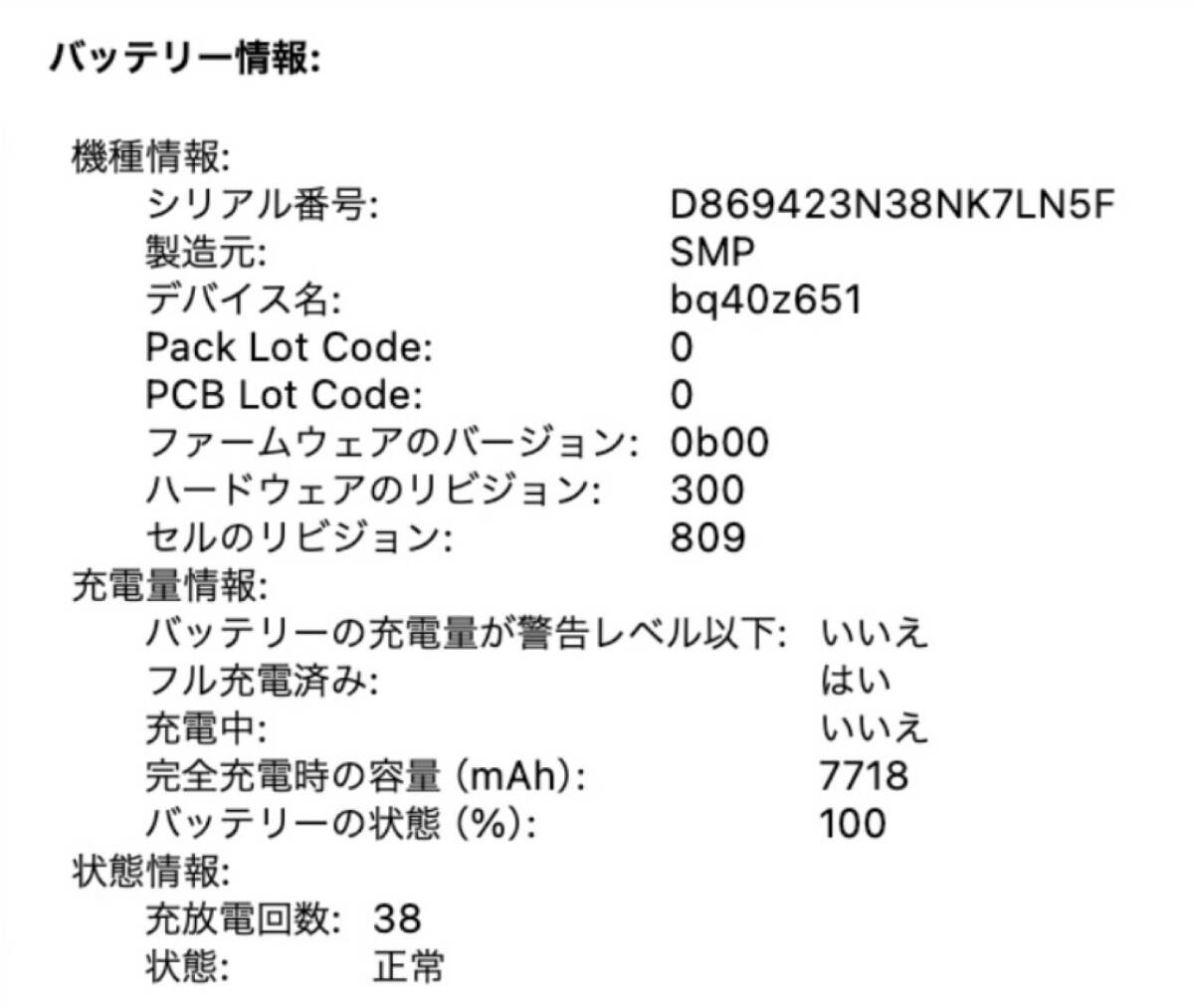 超美品 MacBook Pro Retina ディスプレイ 16インチ 2019 1TB Core i9 16GB 2300/16 MVVM2J/A シルバー 送料無料_画像3