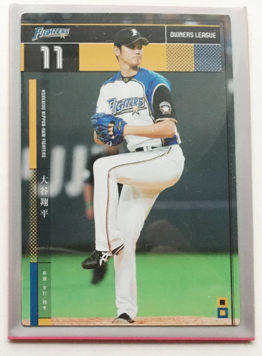 大谷翔平 オーナーズリーグ プロ野球チップス psa BBM 野球カード