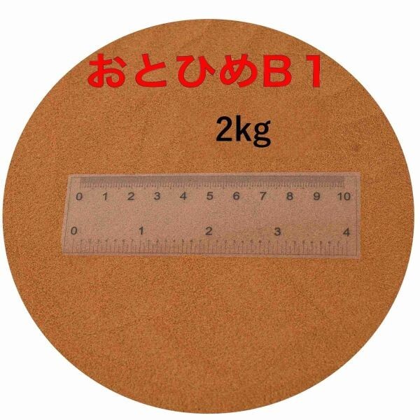 おとひめB1 2kg 新品未開封(沈下性)(0.2～0.36mm) 日清丸紅飼料 メダカ 金魚 熱帯魚の餌に 送料無料 倉出し　110077_画像1