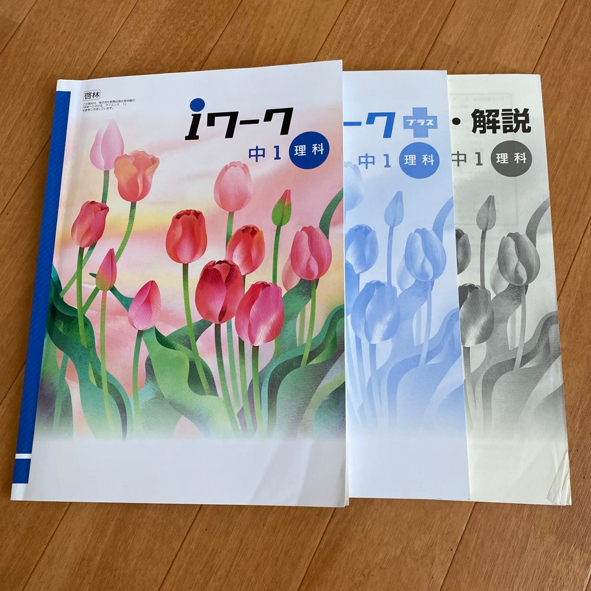 iワーク　中1数学、理科　地理、歴史　四教科セット！解答・解説、iワークプラス付 iワーク 中1数学、理科 地理、歴史 四教科セット！解答・解説、i