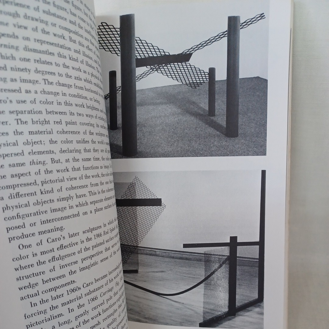 ロザリンド・クラウス「Passages in Modern Sculpture (Mit Press) 」英語版 Rosalind E. Krauss 現代美術　批評　洋書_画像3