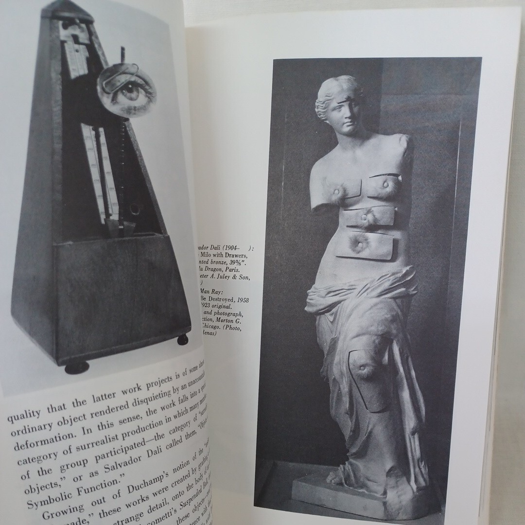 ロザリンド・クラウス「Passages in Modern Sculpture (Mit Press) 」英語版 Rosalind E. Krauss 現代美術　批評　洋書_画像8