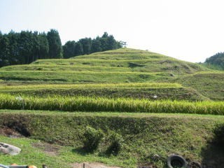 2023年度有機肥料を使用し栽培した米10kg　☆旧東加茂郡下山村の米ミネアサヒ_我が棚田風景全景