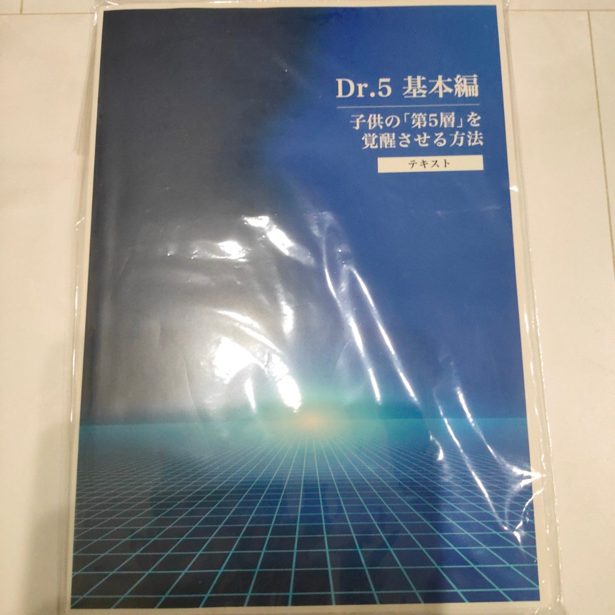 幼児教室ひまわり教材  Dr.5基本編 子供の「第5層」を覚醒させる方法&Dr.HEAT 子供が本気で勉強する4ステップ