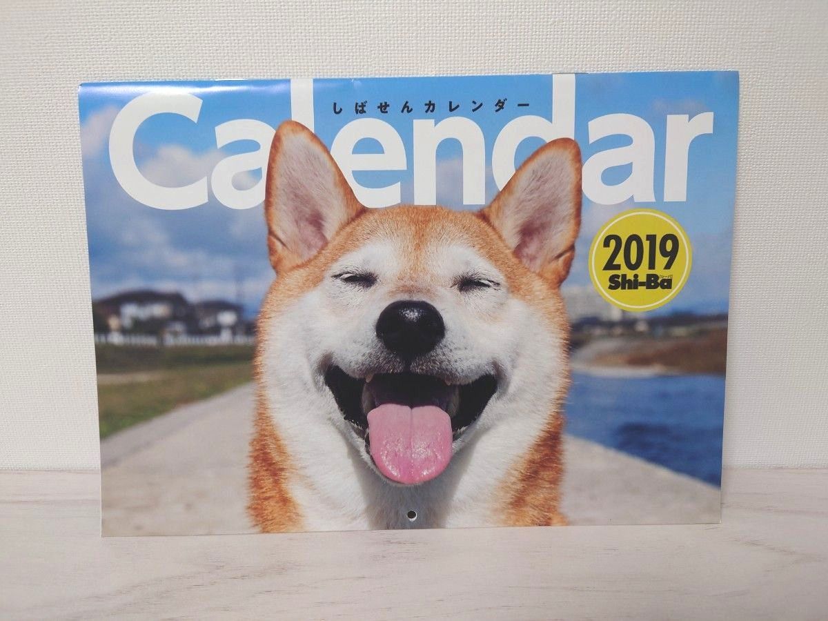 しばせんカレンダー 柴犬 カレンダー Shi-Ba付録 2019 2020 2021 2022年