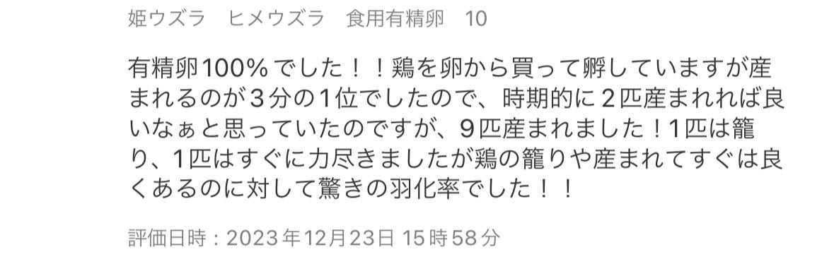 姫ウズラ ヒメウズラ 食用有精卵 5個 今だけ値下げ中！更にオマケ付きの画像8