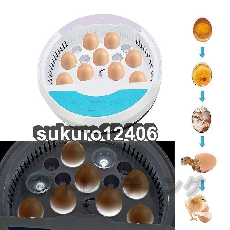 自動孵卵器 インキュベーター 入卵9個 鳥類専用孵卵器 検卵ライト内蔵 孵化器 鶏卵 アヒル うずら 子供教育用 自動温度制御 湿度保持の画像2