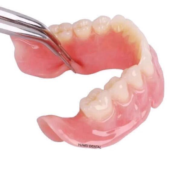 （ピンク） 歯科人工歯 歯科技工ビーズ ３０ｇ アクリルストリーク 義歯 仮歯 付け歯 差し歯 入れ歯 義歯作製 インスタントスマイル aの画像5
