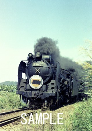 D51 631 八高線さよなら列車【鉄道写真51042】KGサイズ☆_画像1