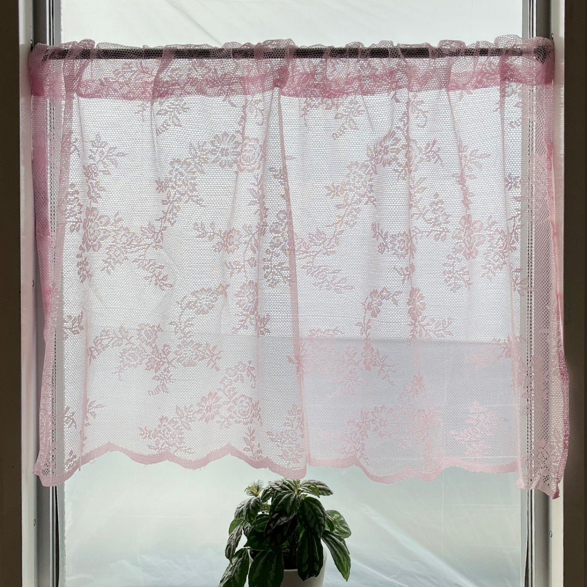 幅98×丈55 カフェカーテン ピンク レース 花柄 スカラップ 小窓 のれん 窓カフェカーテン