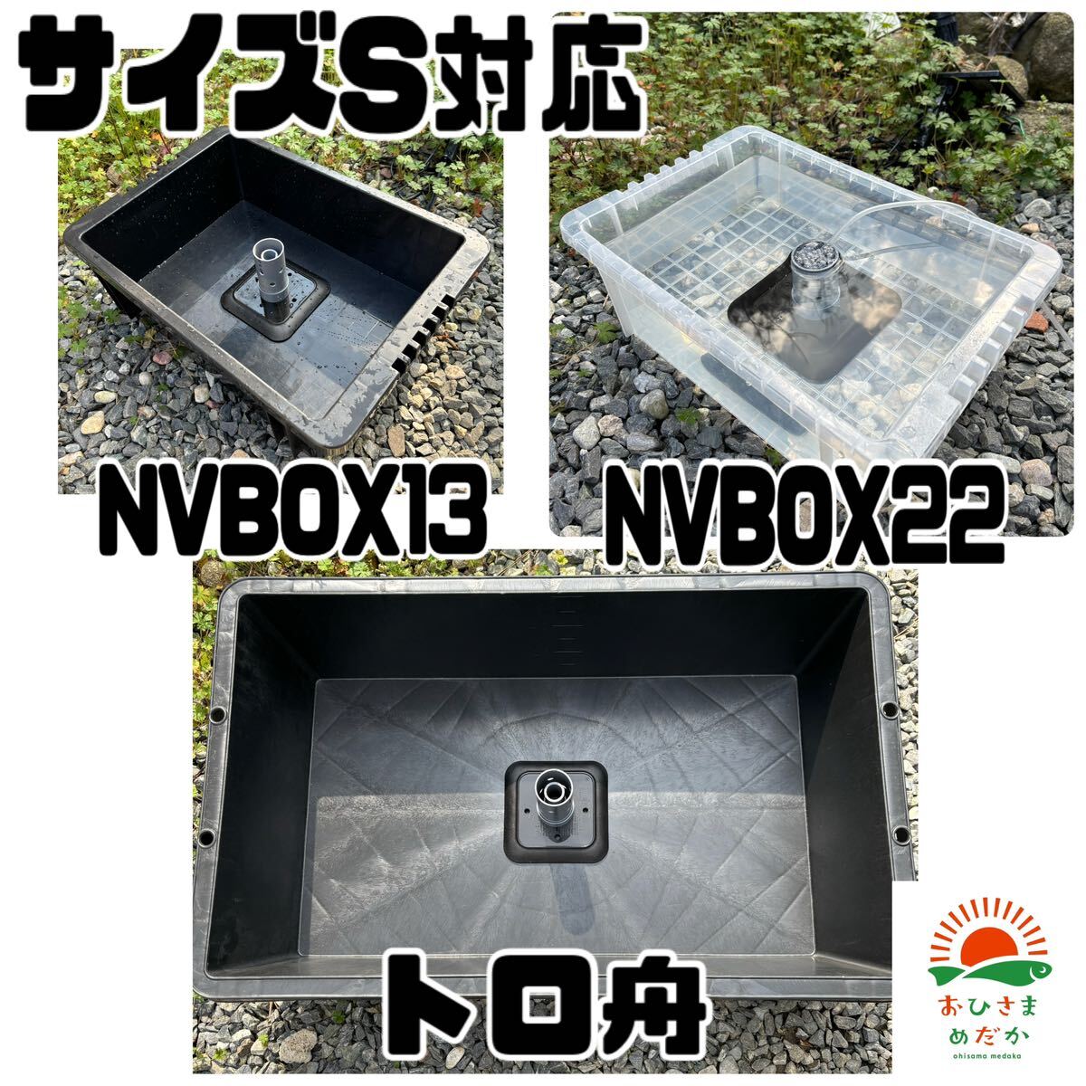 どんどん増える【ミジンコ培養器SサイズNVBOX13対応】タマミジンコめだか錦鯉金魚熱帯魚稚魚針子生き餌ゾウリムシベタブラインシュリンプ_画像3