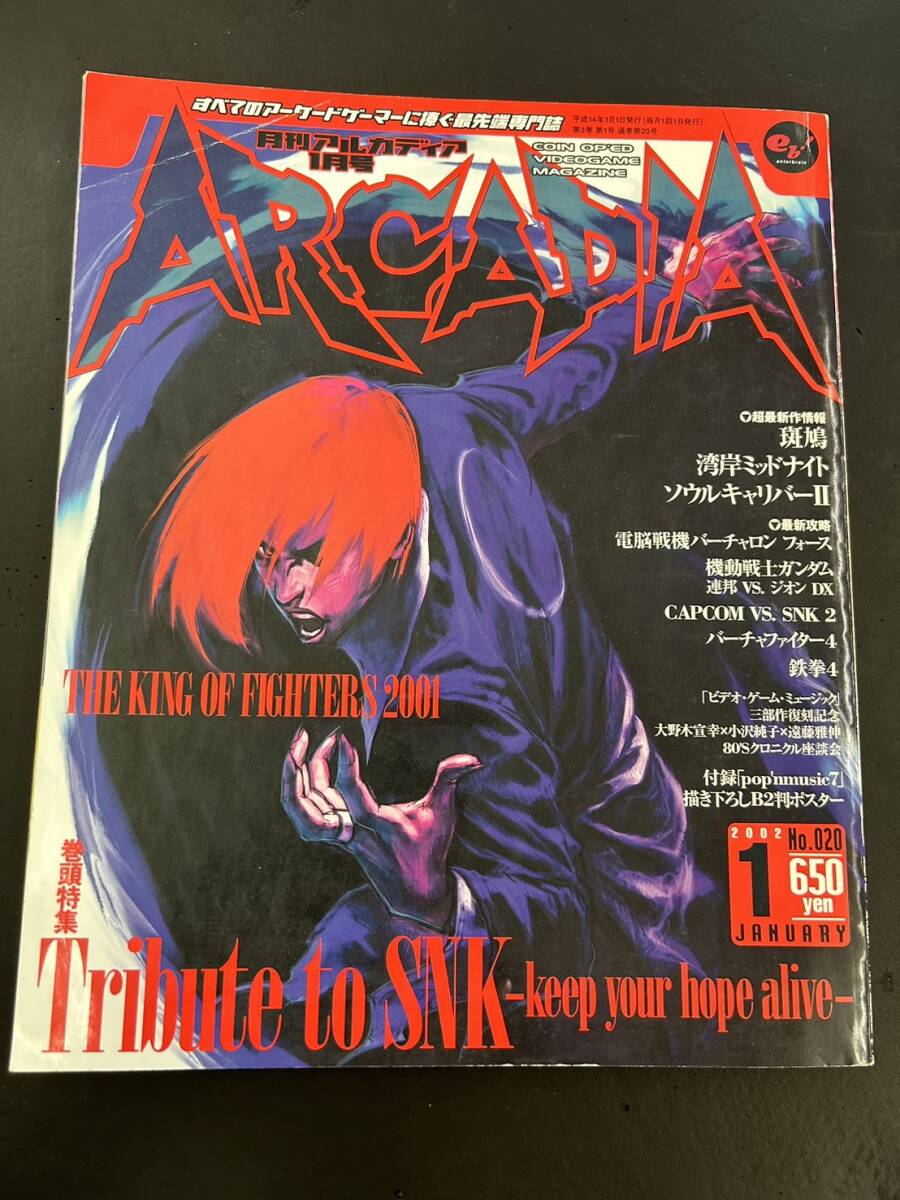 月刊アルカディア ARCADIA 2002年1月号 No.020 付録無し _画像1