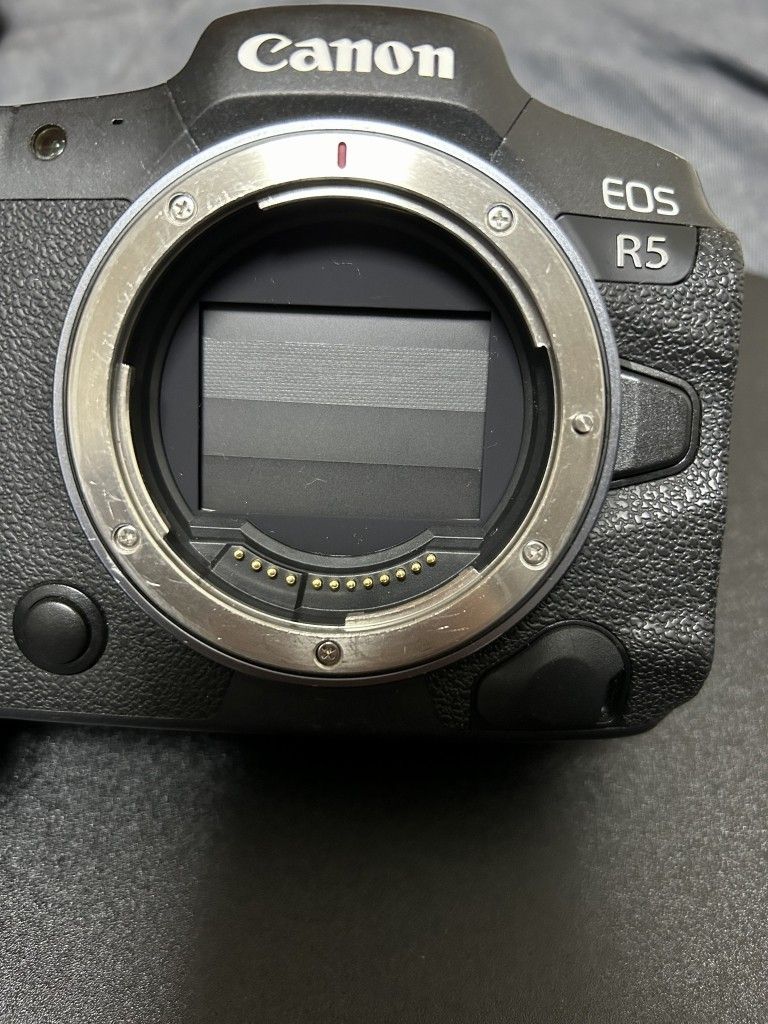 【完動品】Canon(キャノン) EOS R5 フルサイズ　ミラーレス一眼カメラ