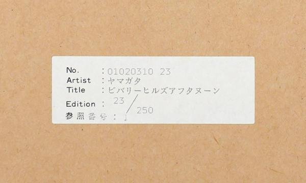 Yahoo!オークション - 【真作】【WISH】ヒロ・ヤマガタ Yahoo!オークション - 【真作】【WISH】ヒロ・ヤマガタ