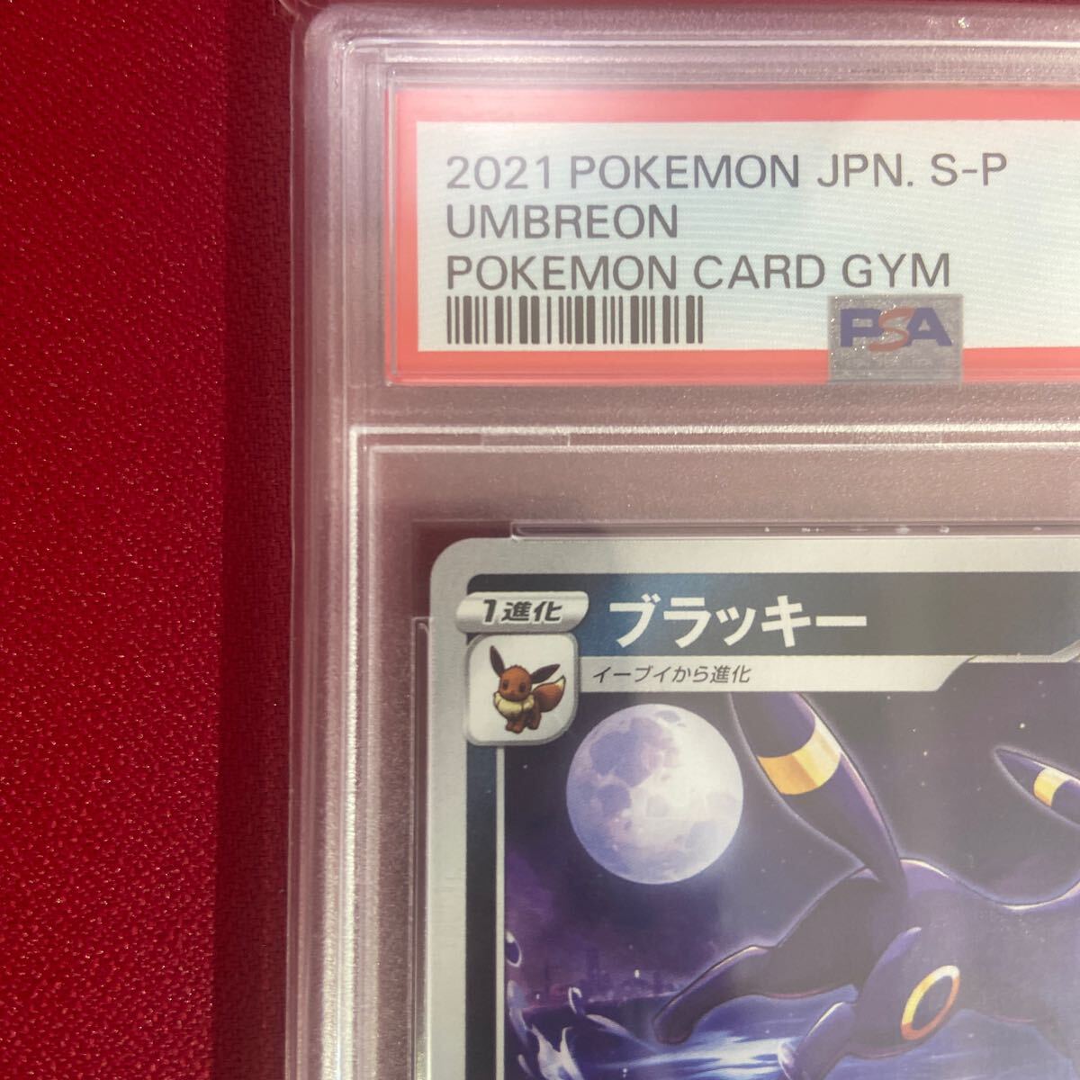 PSA9 ブラッキー　161/S-P Umbreon 161/S-P 2021 Pokemon Card Japanese Gym Promo PSA 9 Mint_画像3