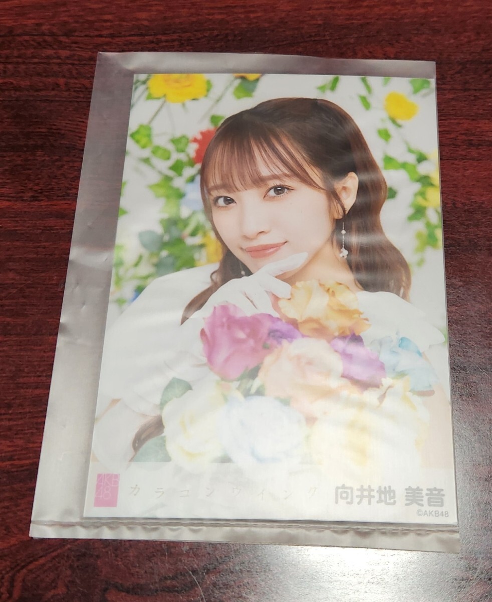 ◇AKB48＊カラコンウインク◇向井地美音＊劇場盤/OS盤/Official Shop盤特典生写真_画像1