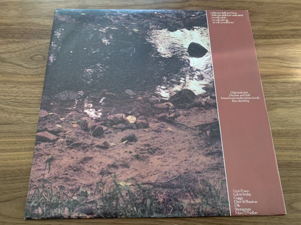 LP レコード ◆ Virgin Prunes / ...If I Die, I Die ヴァージン・プルーンズ / ROUGH 49 / UKオリジナル盤 / Rough Trade_画像4