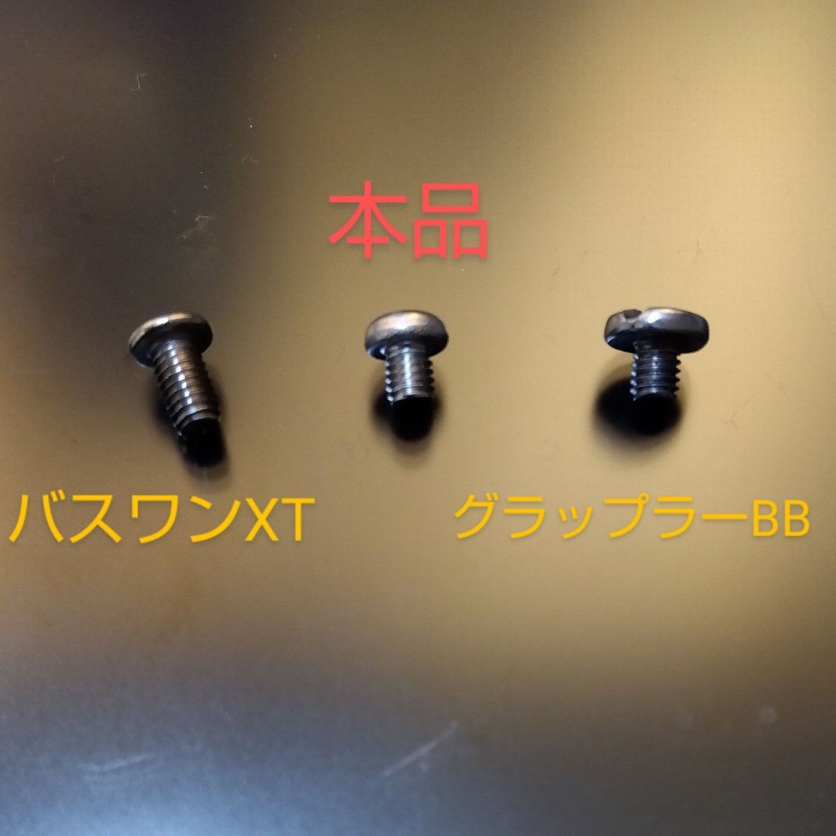 シマノ ダイワ ベイトリール用 リテーナー 固定ネジ M2.6×3mm 2個の画像3