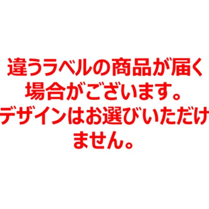 【強炭酸】コカ・コーラ アイシー・スパークfromカナダドライ500ml×24本