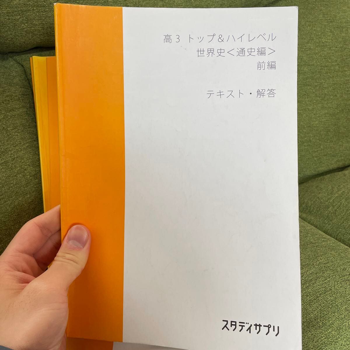 スタディサプリ世界史テキスト全部セット　スタンダードレベル前編後編、トップハイレベル前編後編、文化史編、論述編