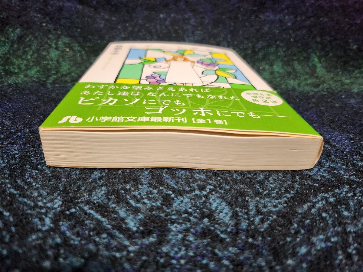 エデンで会おう （小学館文庫　そＡ－２６） 惣領冬実／著