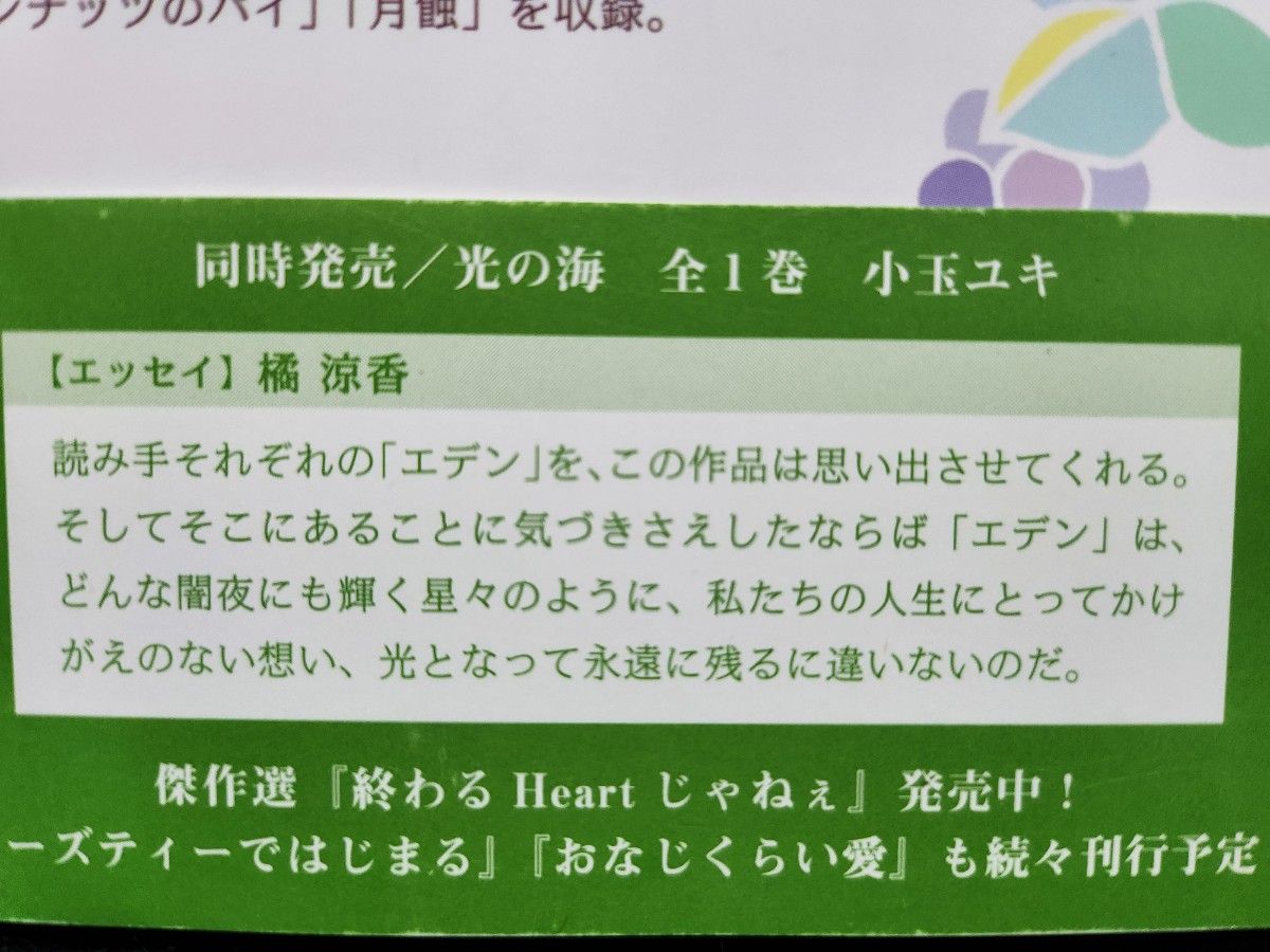 エデンで会おう （小学館文庫　そＡ－２６） 惣領冬実／著