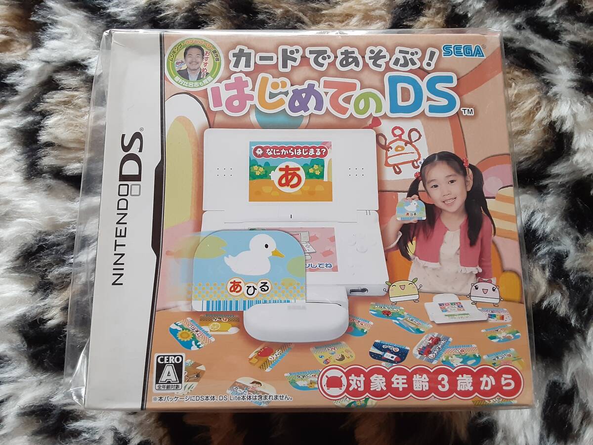 【新品デッドストック】カードであそぶ! はじめてのDS