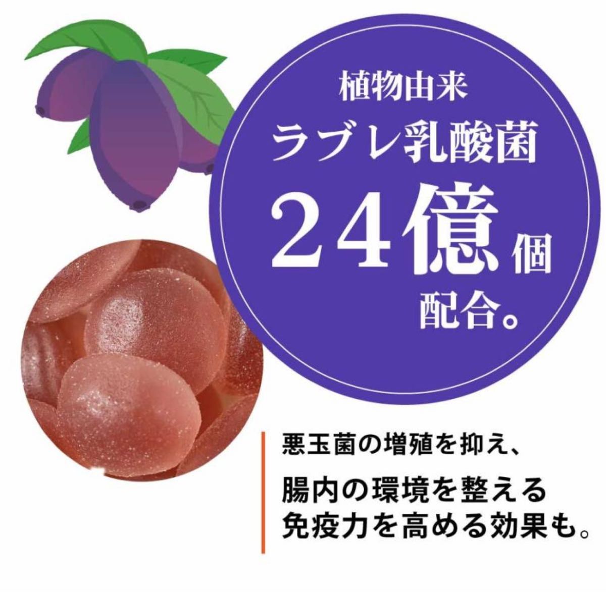 カネカ食品 北海道ハスカップグミ　40g × 8袋セット 果汁グミ ラブレ乳酸菌入り 北海道限定 