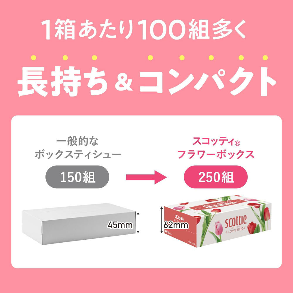 ティッシュペーパー ボックスティッシュ スコッティー 500枚(250組)ｘ３箱ｘ４パック/卸/送料無料_画像5