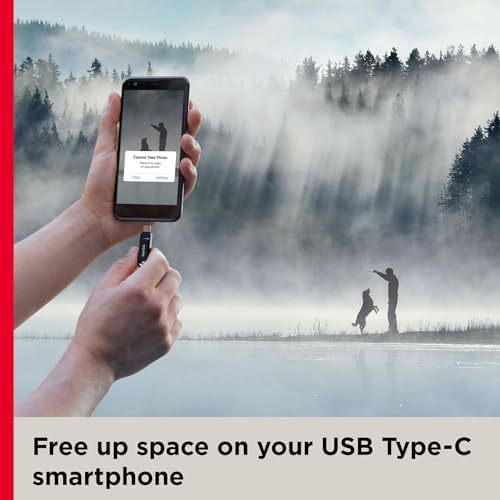  128GB Ultra Dual Drive Go USB Type-C Flash Drive - SDDDC3-128G-G_画像4