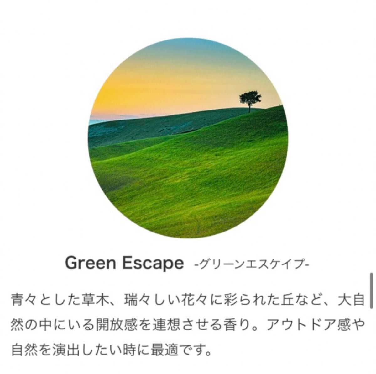  Green Escape グリーンエスケープProlitec30ml