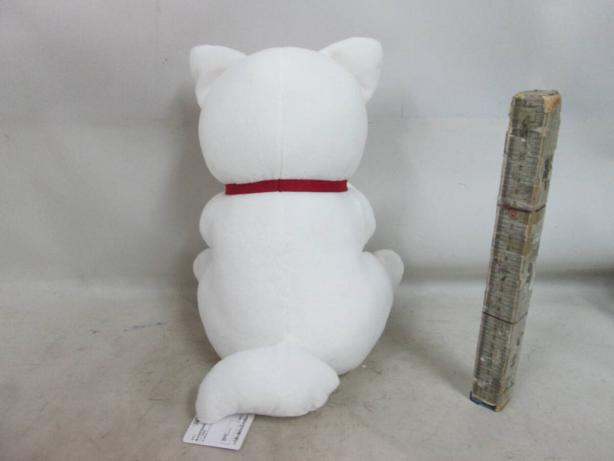 送料は商品説明欄に記入　銀魂　定春　　 めちゃでか定春ぬいぐるみ　H３５ｃｍ_画像5