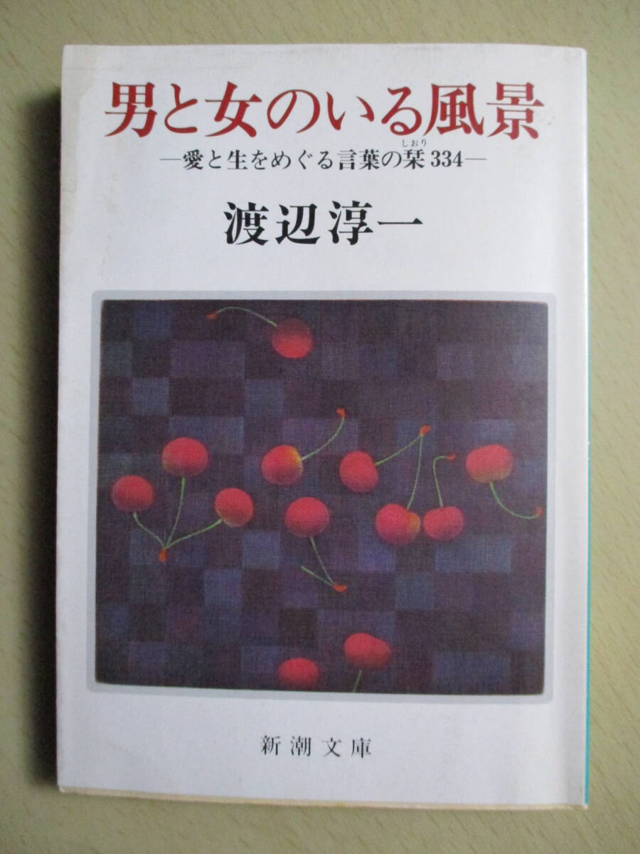 男と女のいる風景 ―愛と生をめぐる言葉の栞334― 渡辺淳一 新潮文庫_外観（表紙）