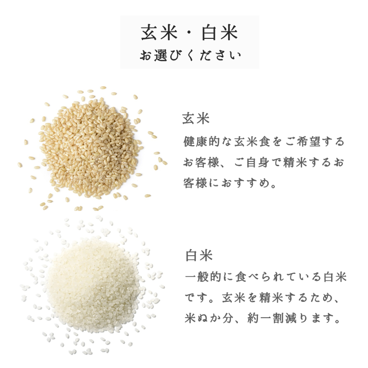 Koshihikari 20kg Yamagata prefecture production free shipping brown rice white rice . rice free new rice . peace 5 year production one etc. rice rice . rice 30kg 10kg. on sale 