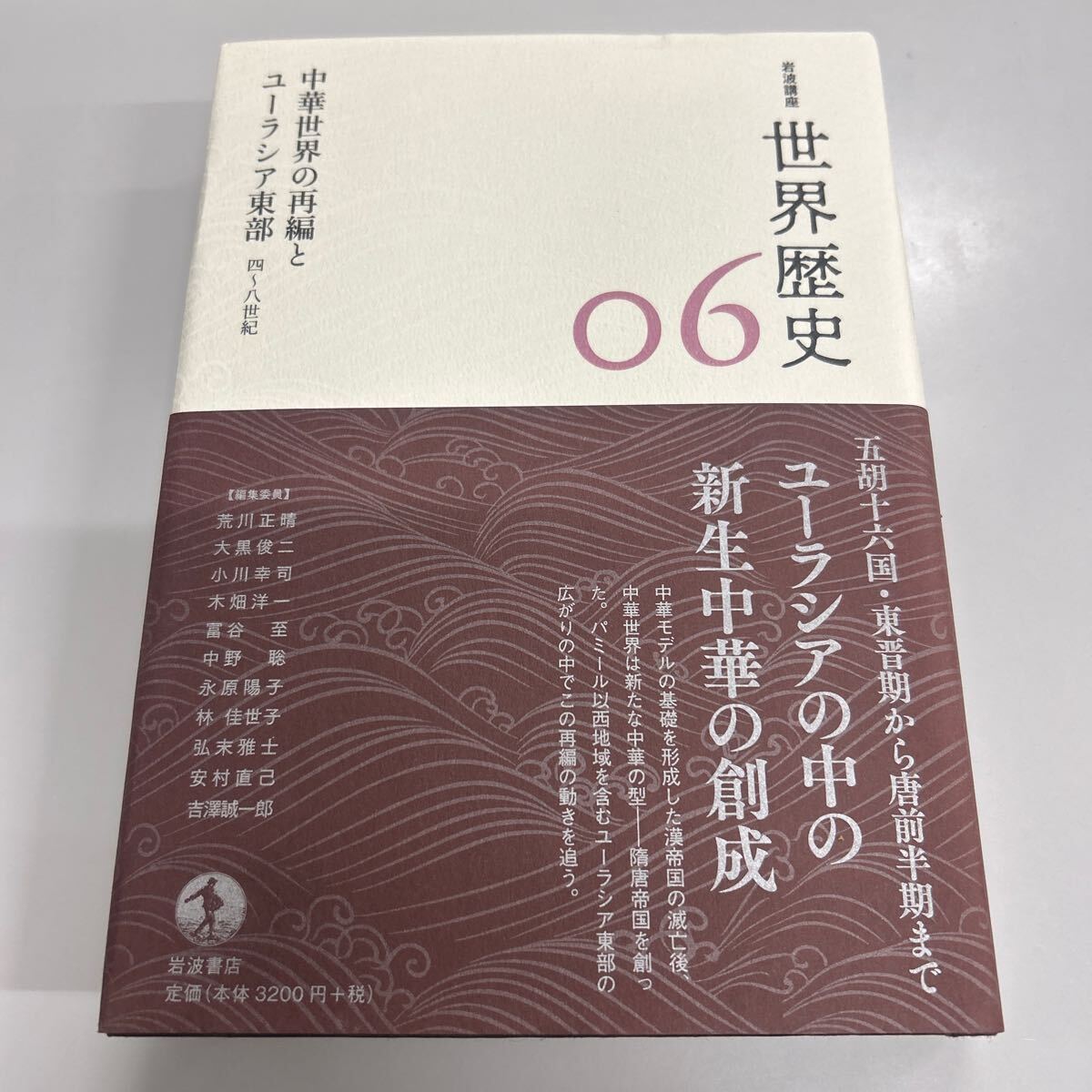 岩波講座世界歴史6 中華世界の再編とユーラシア東部_画像1