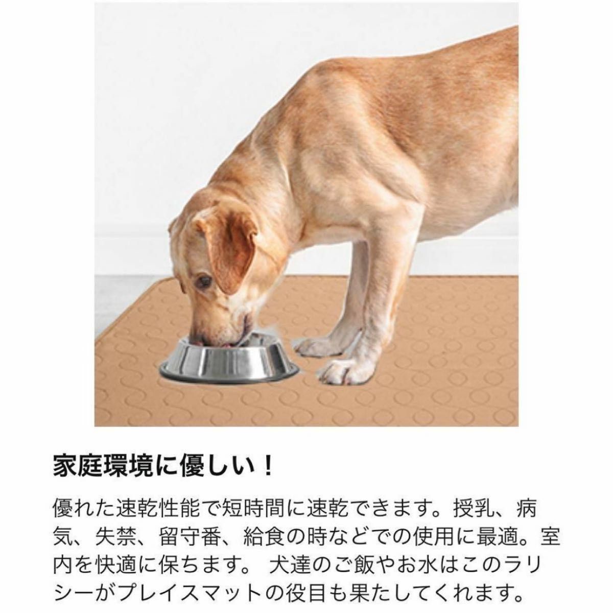 犬 ペットシート ２枚組 50×70㎝ トイレシート 洗える 犬用品 抗菌 超吸収 猫 猫用品