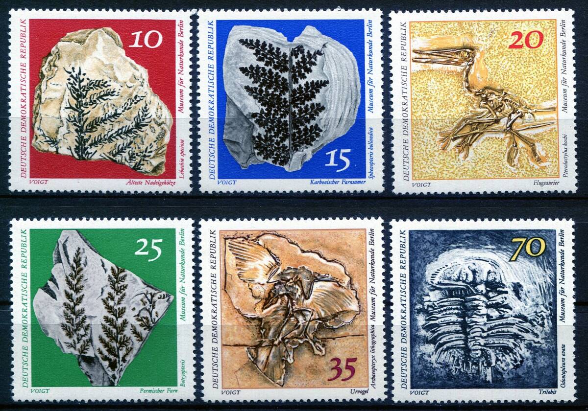 1689◇東ドイツ　1973年　博物館　化石 植物 鳥 シダ 　　6種完　NH_画像1