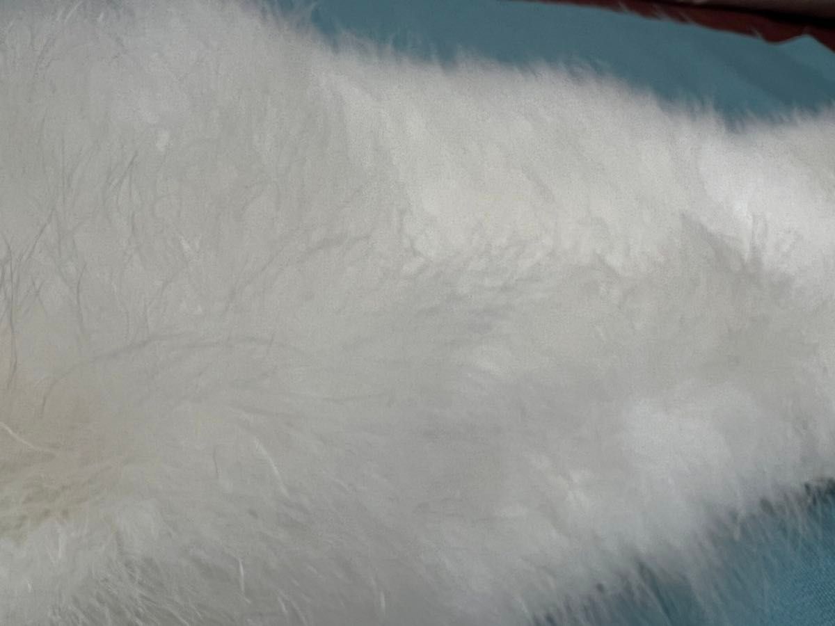 フェザー ショール 振袖 成人式白 羽毛 100％ 単品 着物 ホワイト 新品中古